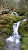 PICTURES/Fundy National Park - Dickson Falls/t_e-First Waterfall1.JPG